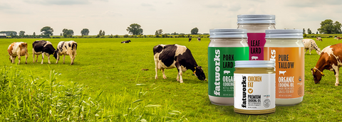 Animal Fats vs Seed Oils